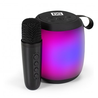 Караоке-система EXEGATE BRO 310